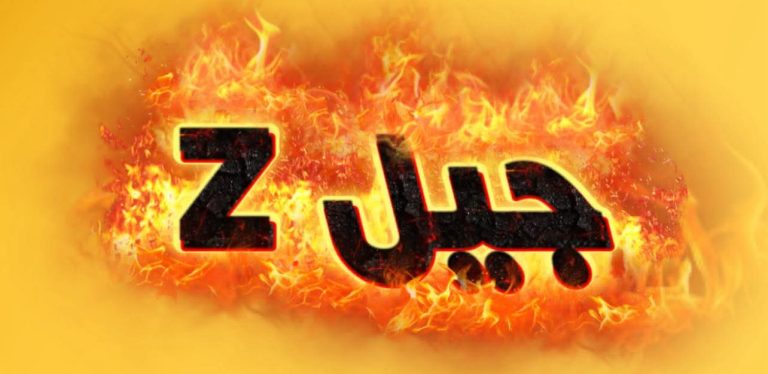 تواصل الأحزاب مع جيل الشباب ..الشاذ الذي لا يقاس عليه