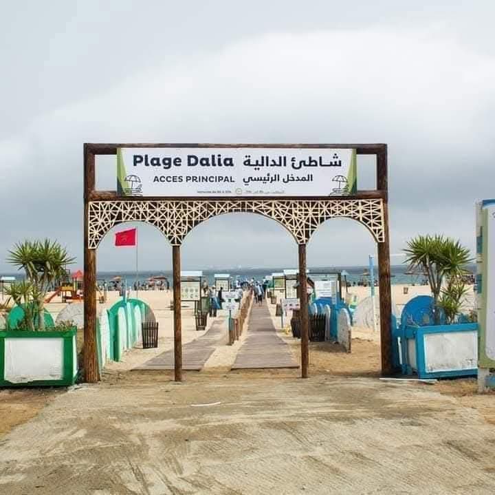 شاطئ الدالية وسؤال التنمية.. إلى متى يستمر منطق “الاستثناء”؟